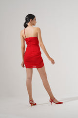 Crimson Rousella